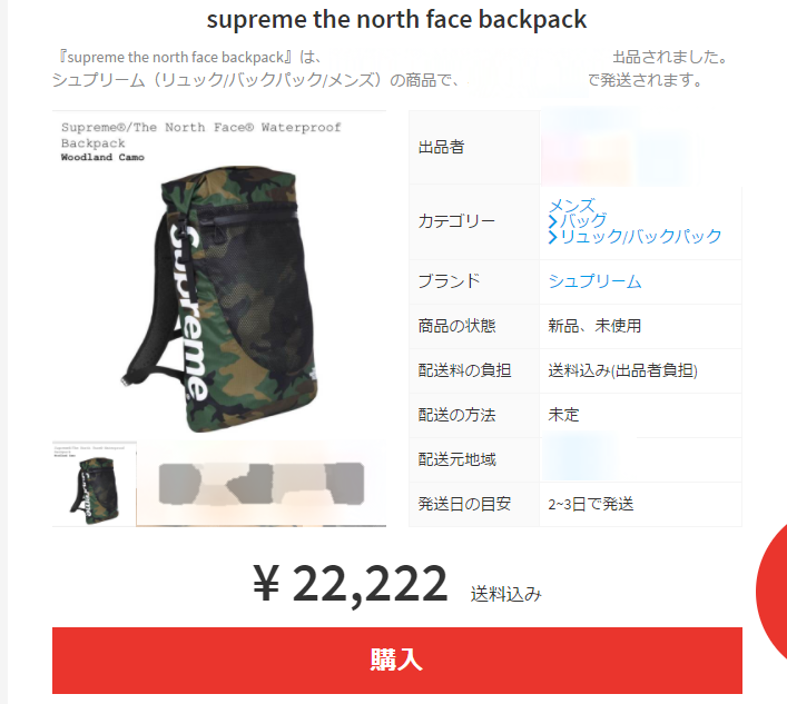 コレ欲しかった Supreme / The North Face Waterproof Backpack 