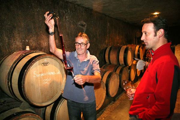Wine Tasting, Vineyards, in France: Simon Bize (Burgundy)